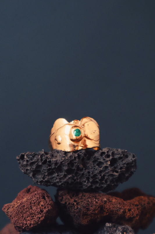 Alternate view of the Pico Partido ring by Bocavolcan